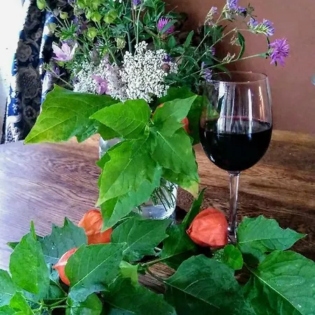 Le Coin Trouve Couette-café Maine-de-Boixe